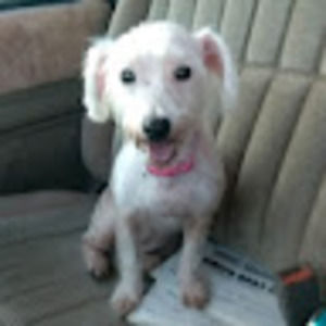 Meet your Posher, Melanie